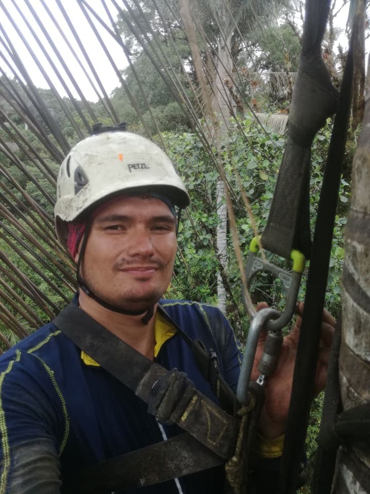 Kevin Galeano Galeria.